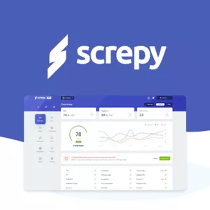 Cover image for Online course Obtenha insights fáceis de entender e recomendações sem código para aumentar suas classificações de SEO.