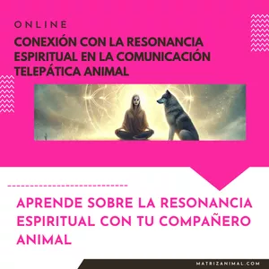 Imagen de portada para Curso online Módulo 4 Comunicación Telepática Animal: Espíritu - Conexión con la Resonancia Espiritual