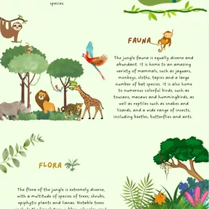 Imagen de portada para Ebook Infografia de la selva