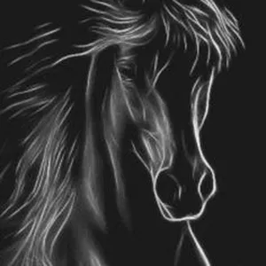 Imagem de capa para o Curso online  Quadro de Cavalo 