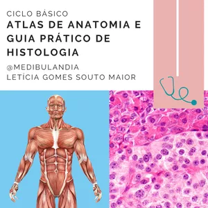 Imagem de capa para o Ebook Atlas de Anatomia e Guia Básico de Histologia - @medibulandia