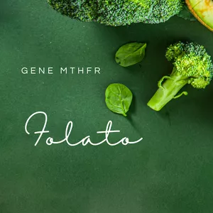 Imagem do curso Tudo o que você precisa saber sobre folato e o gene MTHFR
