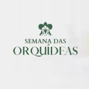 Imagem de capa para o Curso online Semana das Orquídeas 