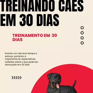 Imagem de capa para o Ebook Treinando cães em 30 dias