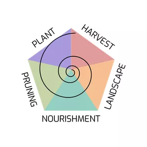 Cover image for Online course SelfGuru Course - Prosperity With No Anxiety