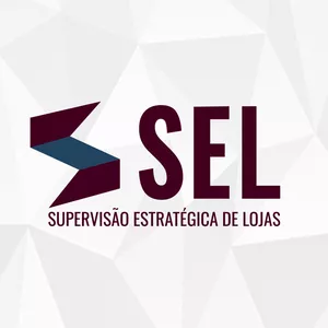 Imagem do curso SEL - Supervisão Estratégica de Lojas