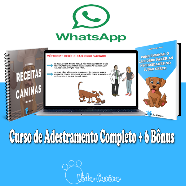 Imagem do curso Curso de Adestramento Canino +6 Super Bônus