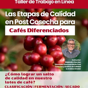 Imagen de portada para Curso online Taller Las Etapas de Calidad en Post Cosecha para Cafés Diferenciados