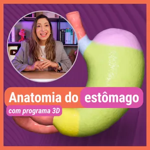 Imagem de capa para o Ebook Apostila ANATOMIA DO ESTÔMAGO. Material de Apoio aulas Youtube.