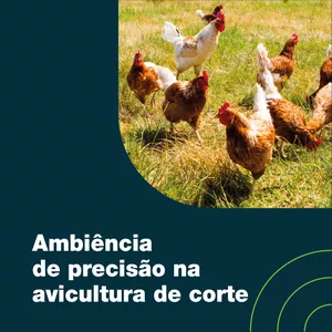 Imagem de capa para o Curso online Ambiência de precisão na avicultura de corte