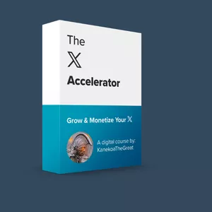 Cover image for Ebook the X Accelerator