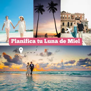 Imagen de portada para Ebook Luna de miel (Planner)