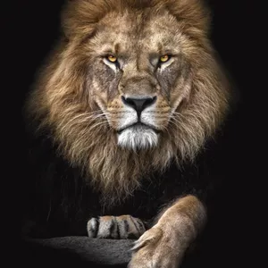 Imagem de capa para o Curso online Intensivão IRPF ( Imposto de Renda de Pessoa Física)