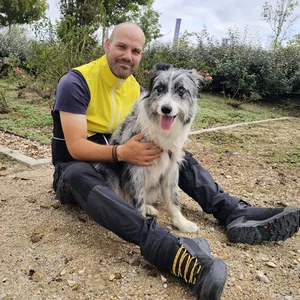 Imagen de portada para Curso online Programa VINCULA