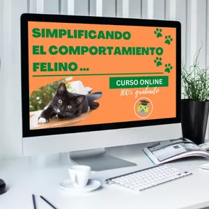 Imagen de portada para Curso online Simplificando el Comportamiento Felino
