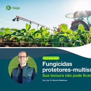 Imagem do curso Fungicidas protetores-multissítios: Sua lavoura não pode ficar sem! 