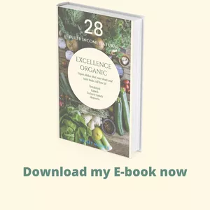 Cover image for Ebook 28 FULLY INCOME NATURAL