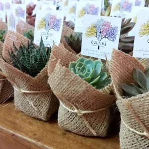 Imagem de capa para o Curso online Curso Lembrancinhas com Suculentas