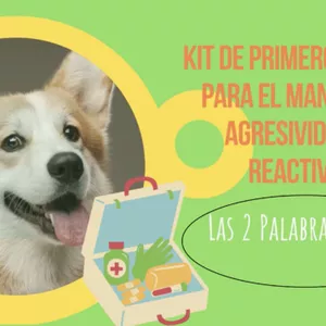 Imagen de portada para Curso online Kit de Primeros Auxilios para la Reactividad y la Agresividad