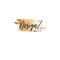 DesignZ By CT