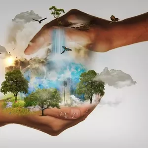 O Mercado e o Problema Ambiental
