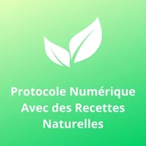 Image de couverture pour le Cours en ligne Protocole Numérique