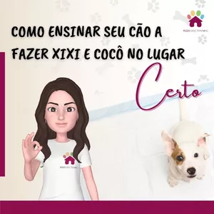 Curso Como ensinar o seu cão a fazer as necessidades no local certo
