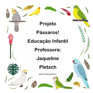 Imagem de capa para o Ebook Projeto Pássaros Educação Infantil