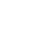 Limor Bergman Gross logo