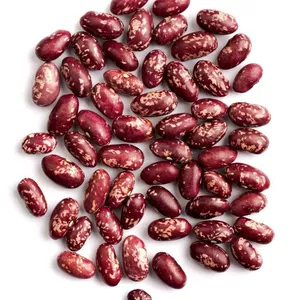 Imagen de portada para Ebook La Mejor Receta del Frijol paisa