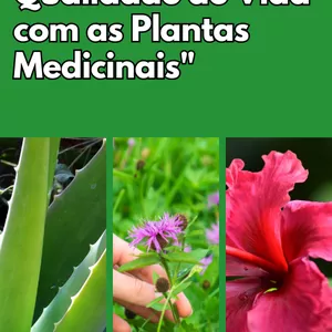 Imagem de capa para o Ebook "Aumente sua Qualidade de Vida com as Plantas Medicinais"