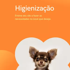 Imagem de capa para o Ebook Ensine seu cão a fazer as necessidades no local desejado