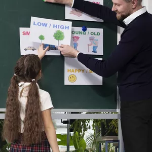 Estrutura Organizacional das Escolas