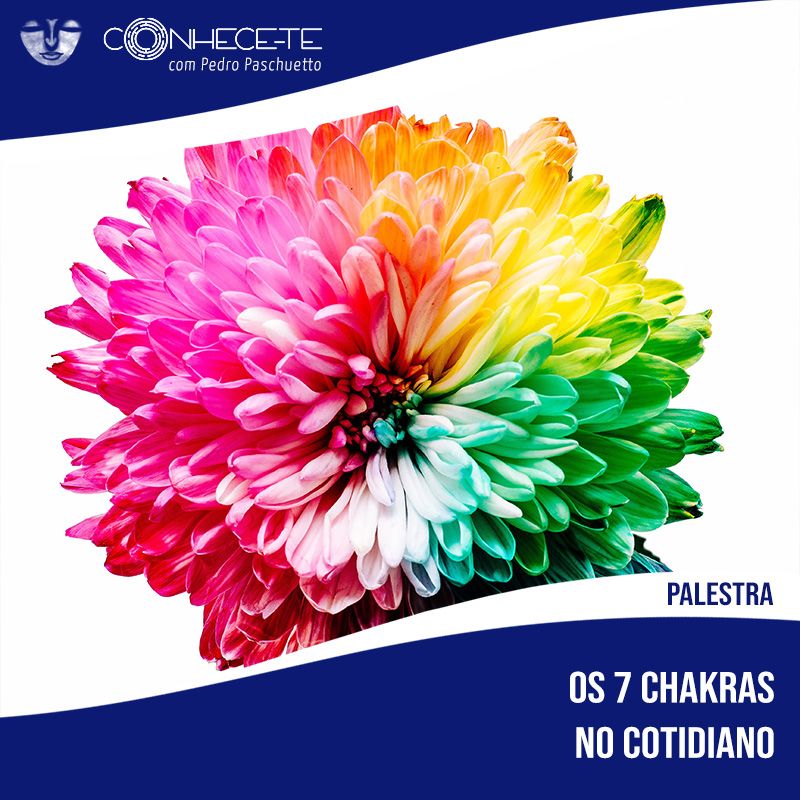 Imagem do curso Palestra: Os 7 Chakras no cotidiano