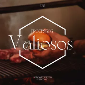 Imagem de capa para o Ebook Processos Valiosos