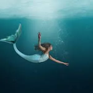 Imagem de capa para o Ebook A Sereia e o Marinheiro 