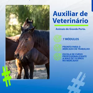 Imagem do curso Curso de Axiliar de Veterinário Grande Porte 