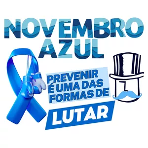 Imagem de capa para o Ebook PAINEL NOVEMBRO AZUL