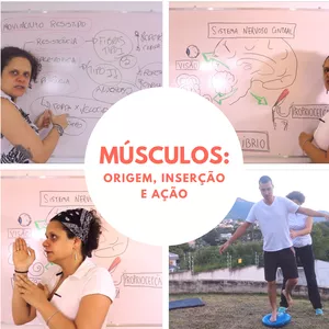 Imagem de capa para o Curso online Músculos: origem, inserção e ação