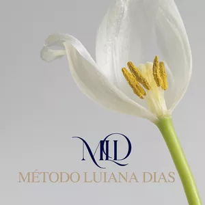 Imagem de capa para o Curso online MÉTODO LUIANA DIAS – MLD