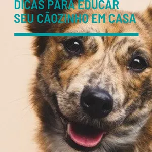 EBOOK COM TÉCNICAS E DICAS PARA ADESTRAR SEU CÃOZINHO EM CASA