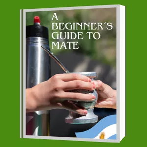 Imagen de portada para Curso online A Beginner´s Guide To Mate