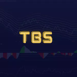 Imagem de capa para o Curso online Indicador TBS