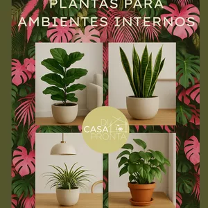 Imagem de capa para o Ebook Guia Essencial de Plantas para Ambientes Internos