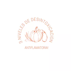Imagen de portada para Curso online 3 Niveles de desintoxicacion, Antiflamatoria 