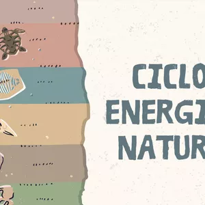 Imagem de capa para o Ebook Ciclo de energia na natureza