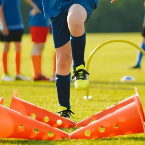 Imagem de capa para o Curso online Educação Física