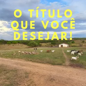 Imagem de capa para o Ebook O título que você desejar