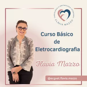 Imagem principal do produto Curso Básico de ECG Flávia Mazzo