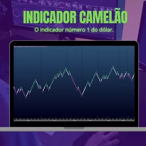 Imagem do curso INDICADOR CAMALEÃO